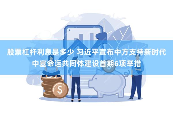 股票杠杆利息是多少 习近平宣布中方支持新时代中塞命运共同体建设首期6项举措