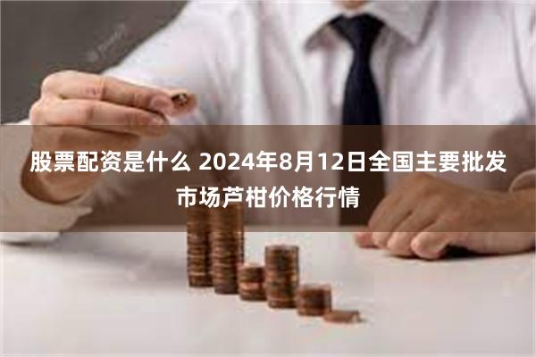 股票配资是什么 2024年8月12日全国主要批发市场芦柑价格行情