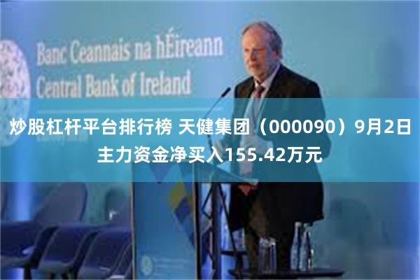 炒股杠杆平台排行榜 天健集团（000090）9月2日主力资金净买入155.42万元