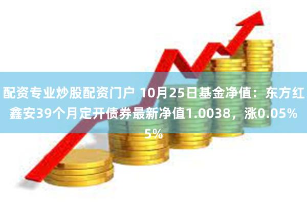 配资专业炒股配资门户 10月25日基金净值：东方红鑫安39个月定开债券最新净值1.0038，涨0.05%