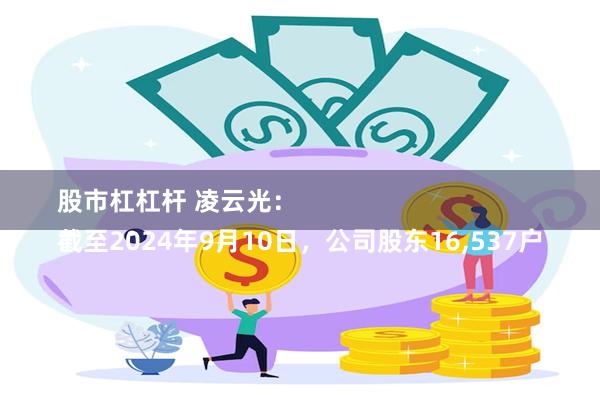 股市杠杠杆 凌云光：
截至2024年9月10日，公司股东16,537户