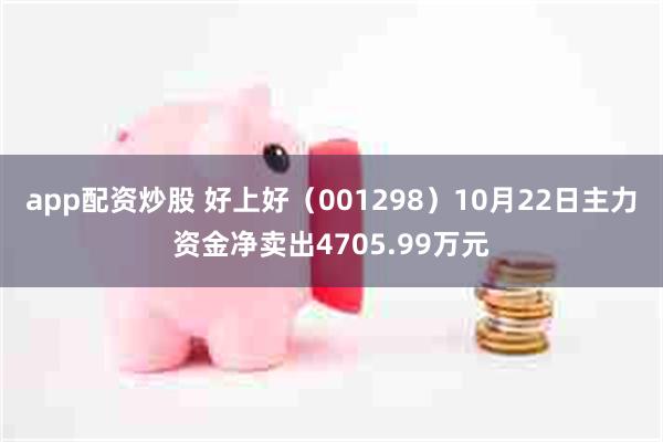 app配资炒股 好上好（001298）10月22日主力资金净卖出4705.99万元