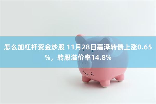 怎么加杠杆资金炒股 11月28日嘉泽转债上涨0.65%，转股溢价率14.8%