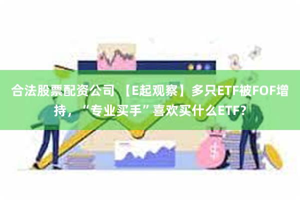 合法股票配资公司 【E起观察】多只ETF被FOF增持，“专业买手”喜欢买什么ETF？